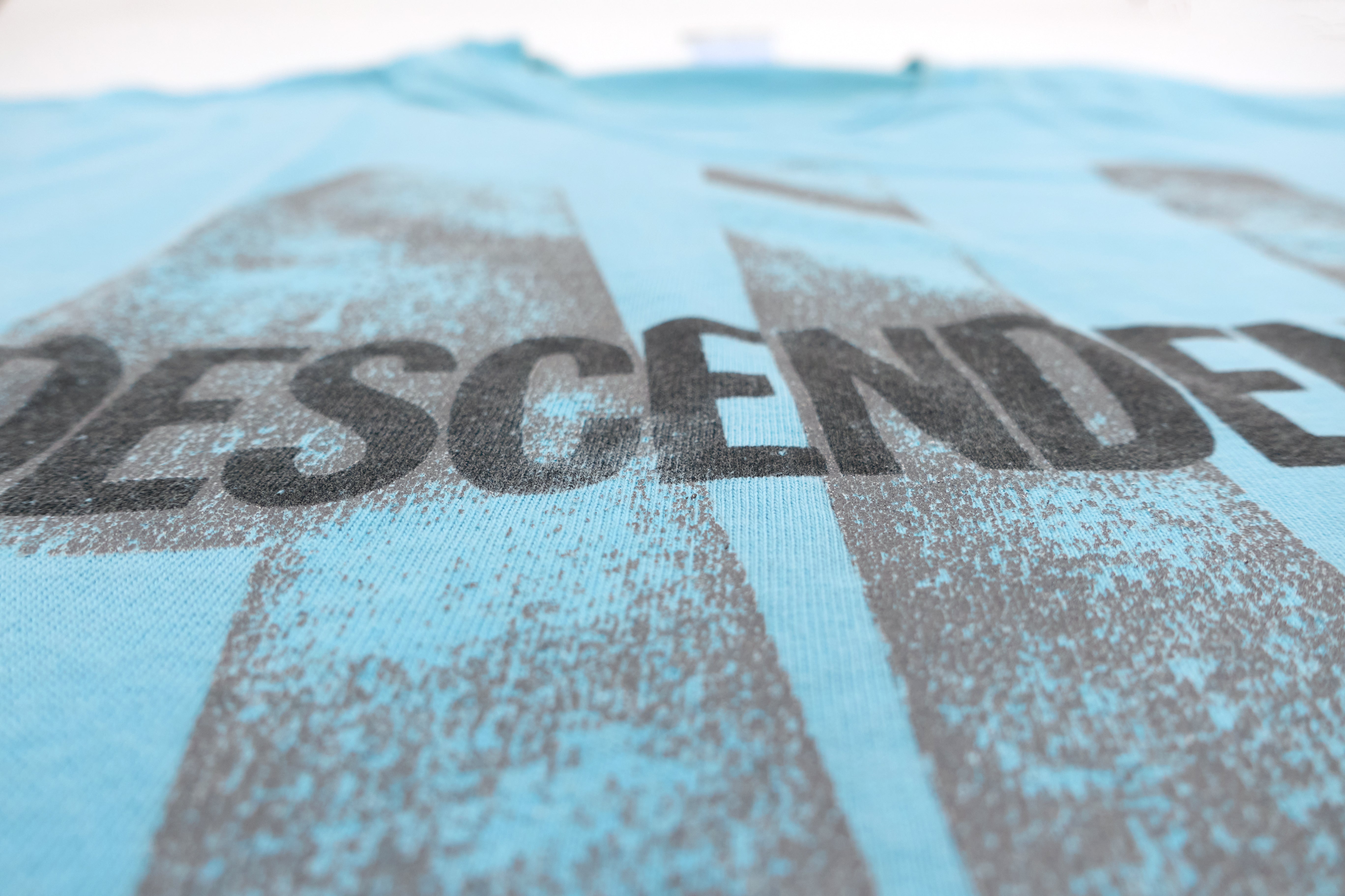 Descendents - ALL 90's Tour Shirt (Hanes Beefy-T) Size XL