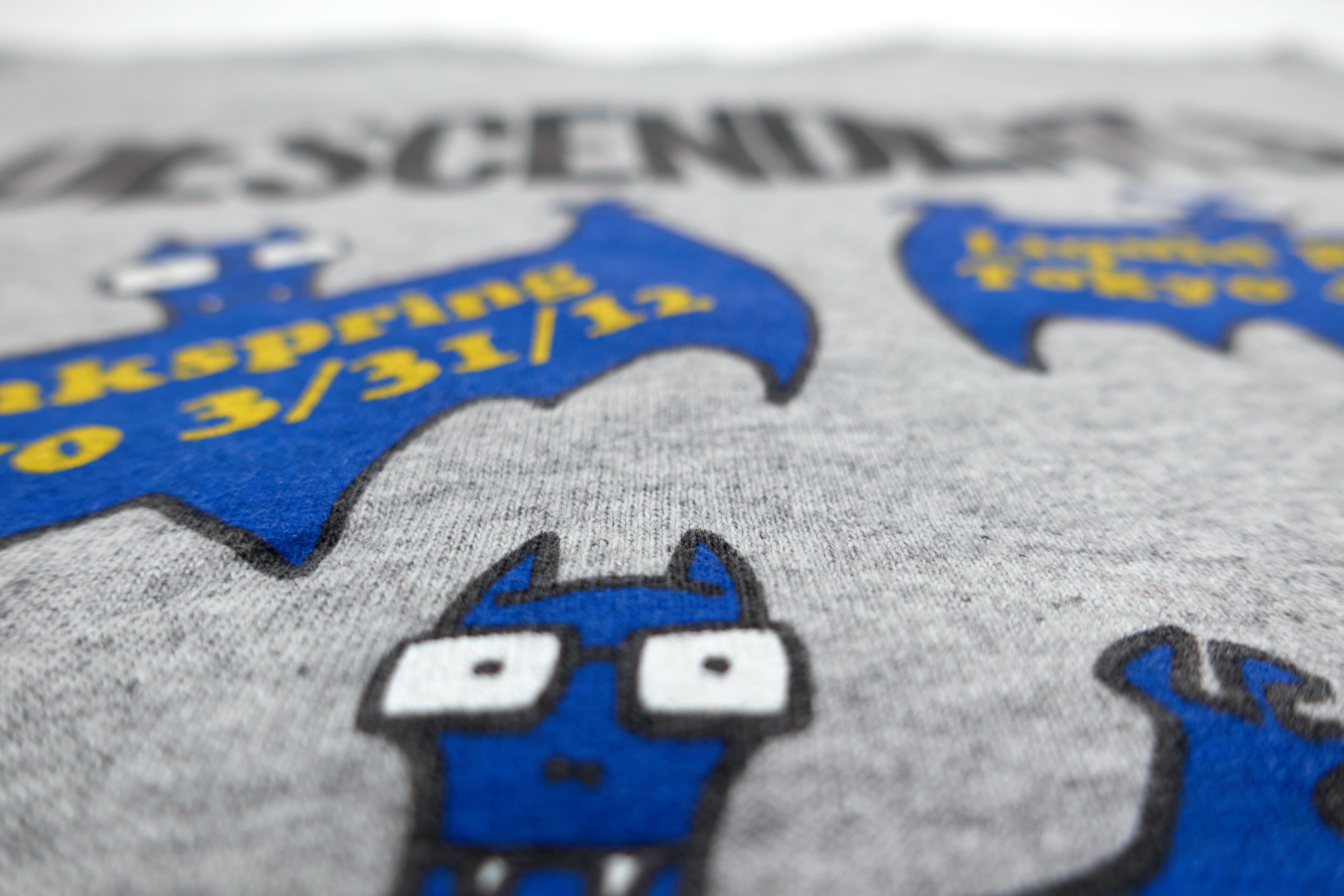 Descendents - Bat Milo Japan 2012 Tour Shirt Size Youth Large