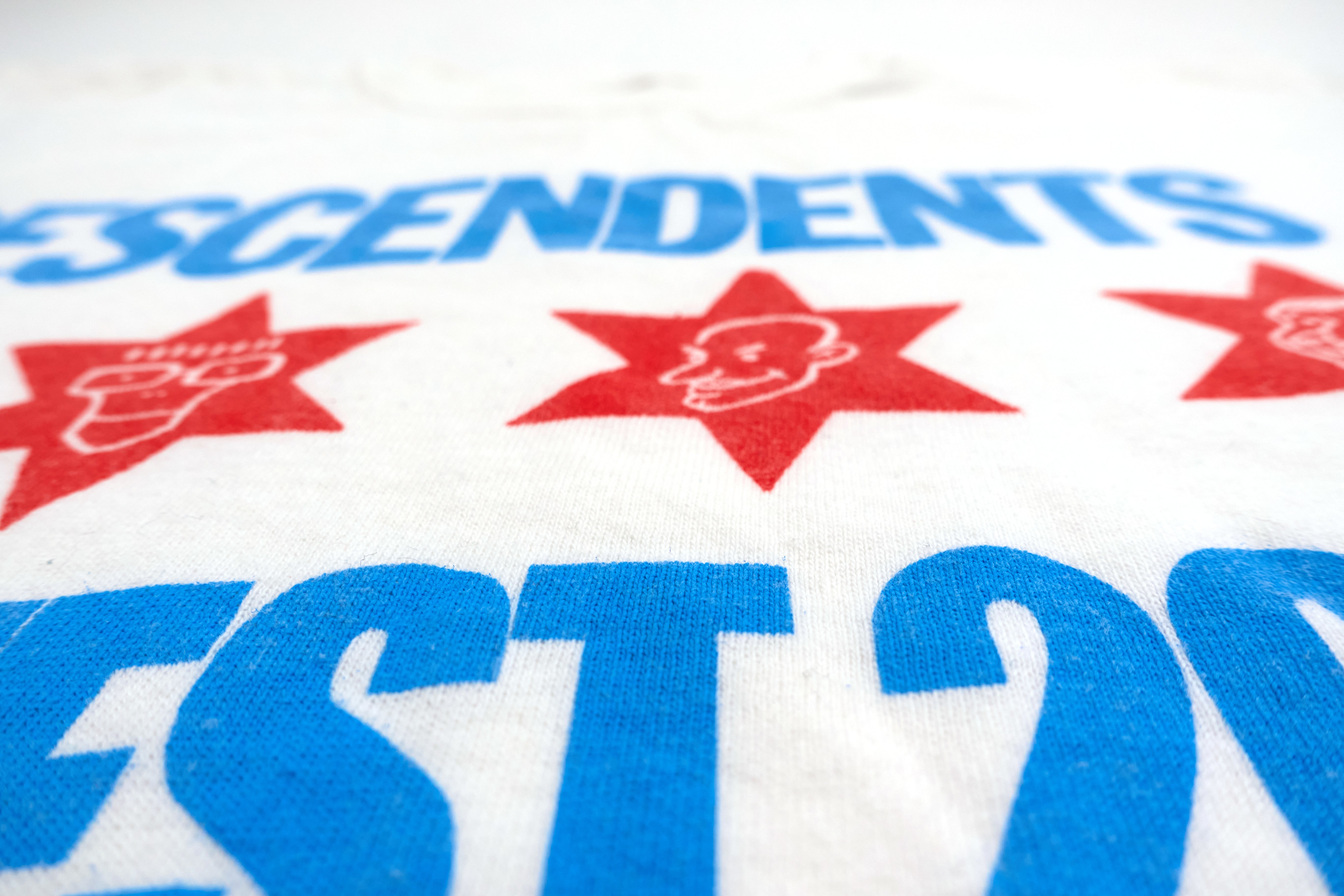 Descendents - Chicago Riot Fest 2012 Tour Shirt Size Youth Medium