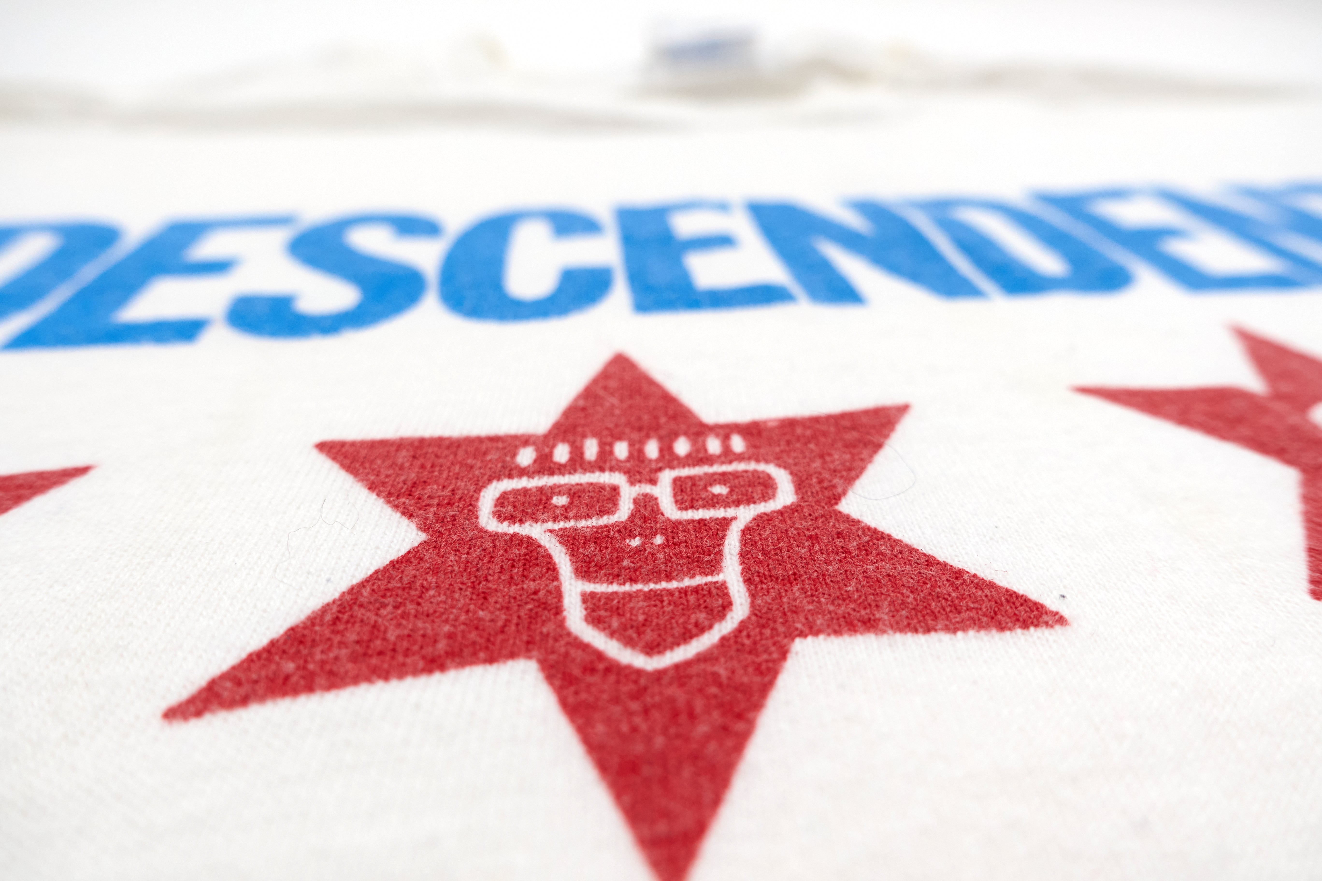 Descendents - Chicago Riot Fest 2012 Tour Shirt Size Medium