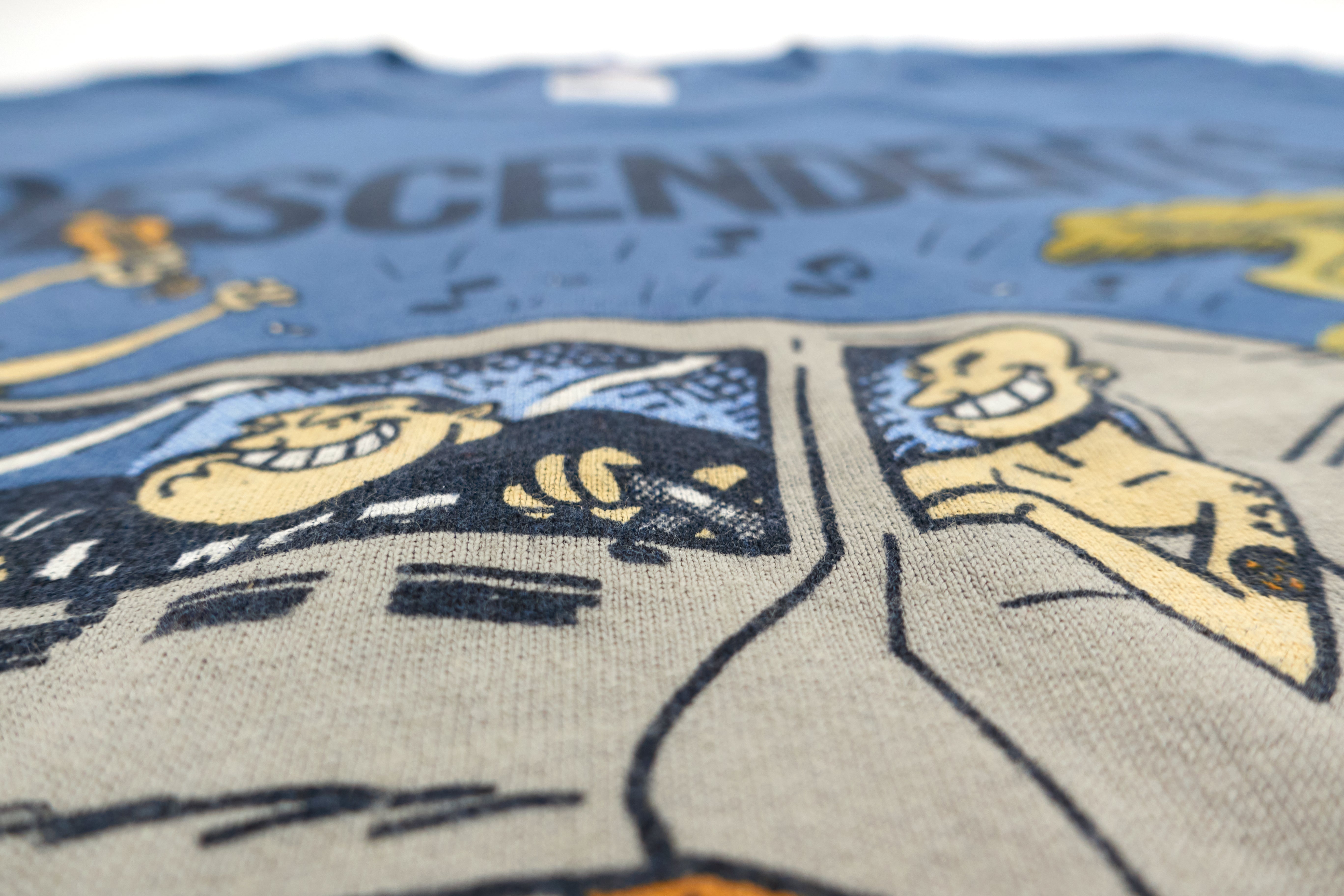 Descendents - Here In My Van Tour Shirt Size Youth Large