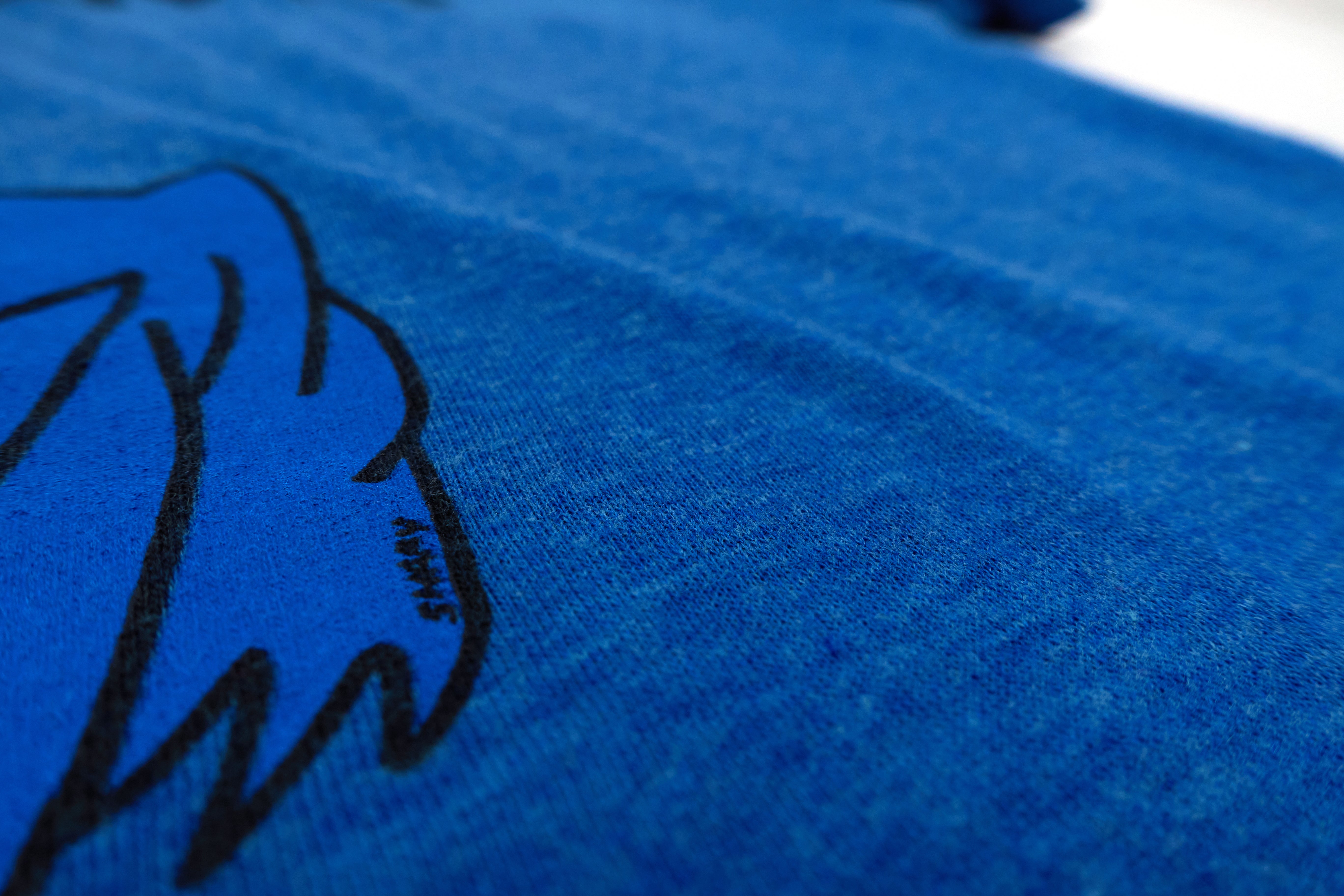 Descendents - I Want ALL Blue Shirt Size Medium