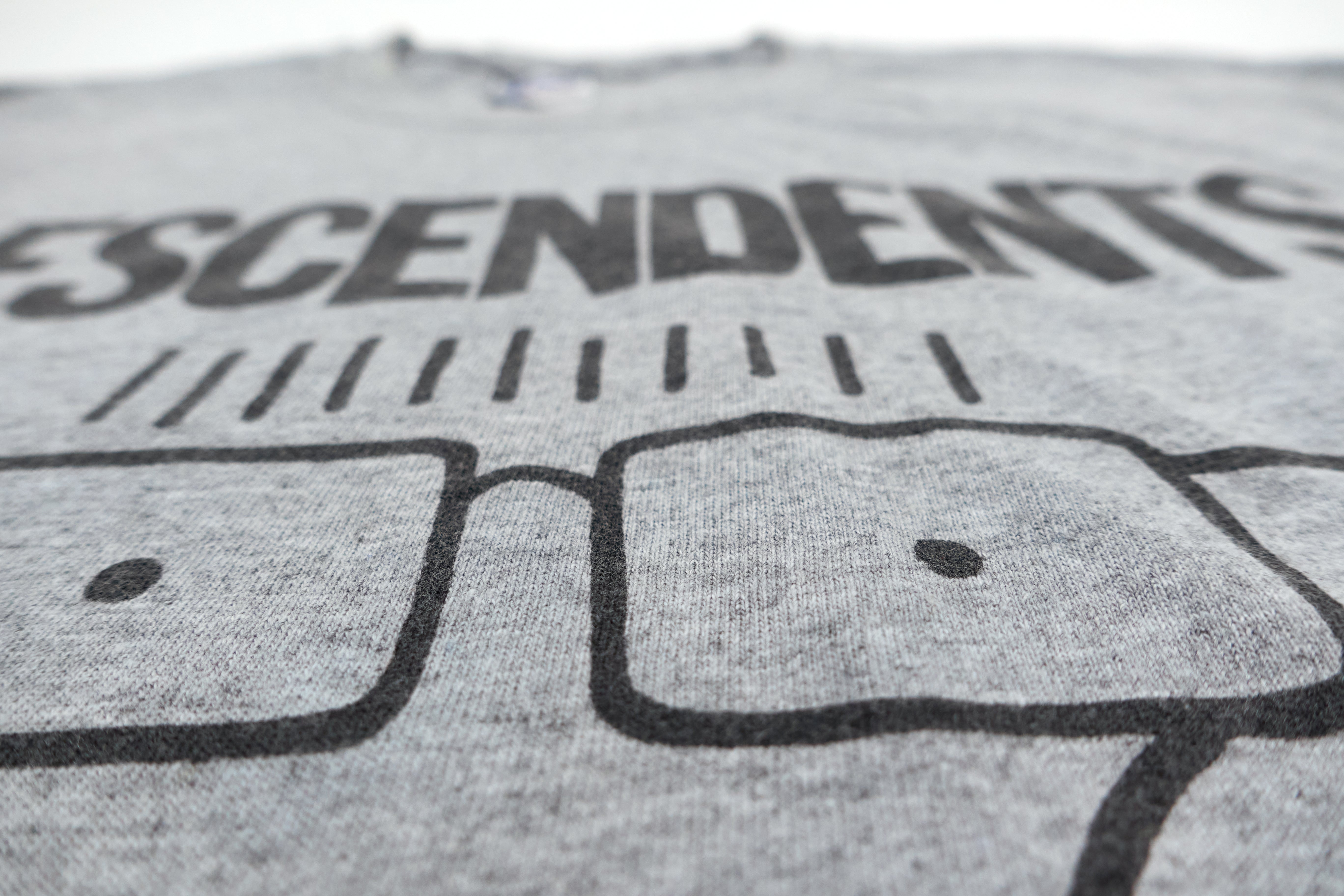 Descendents - Milo Bull FPSF Houston 2012 Tour Shirt Size Medium