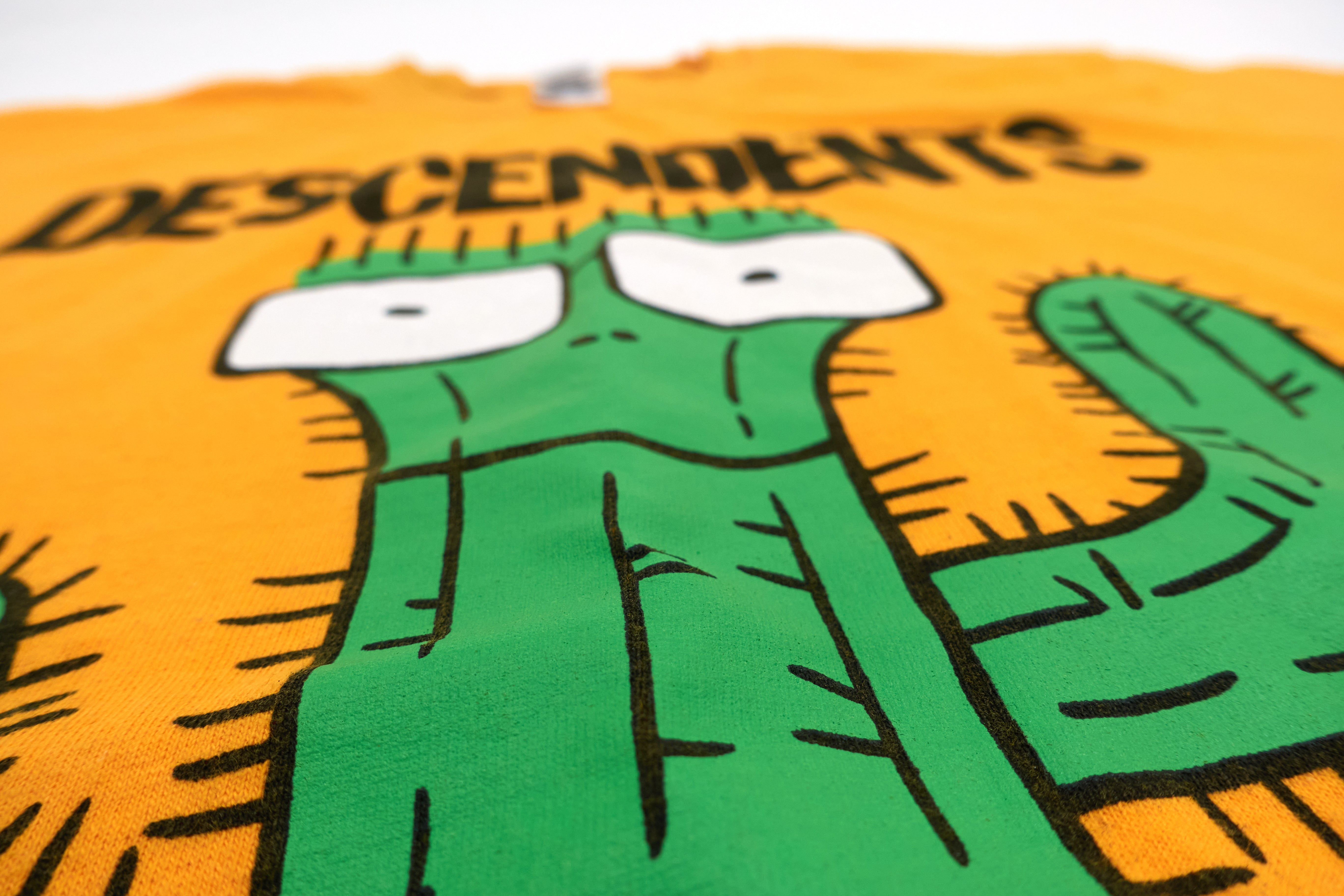 Descendents - Milo Cactus Tempe, AZ 2017 Tour Shirt Size Medium
