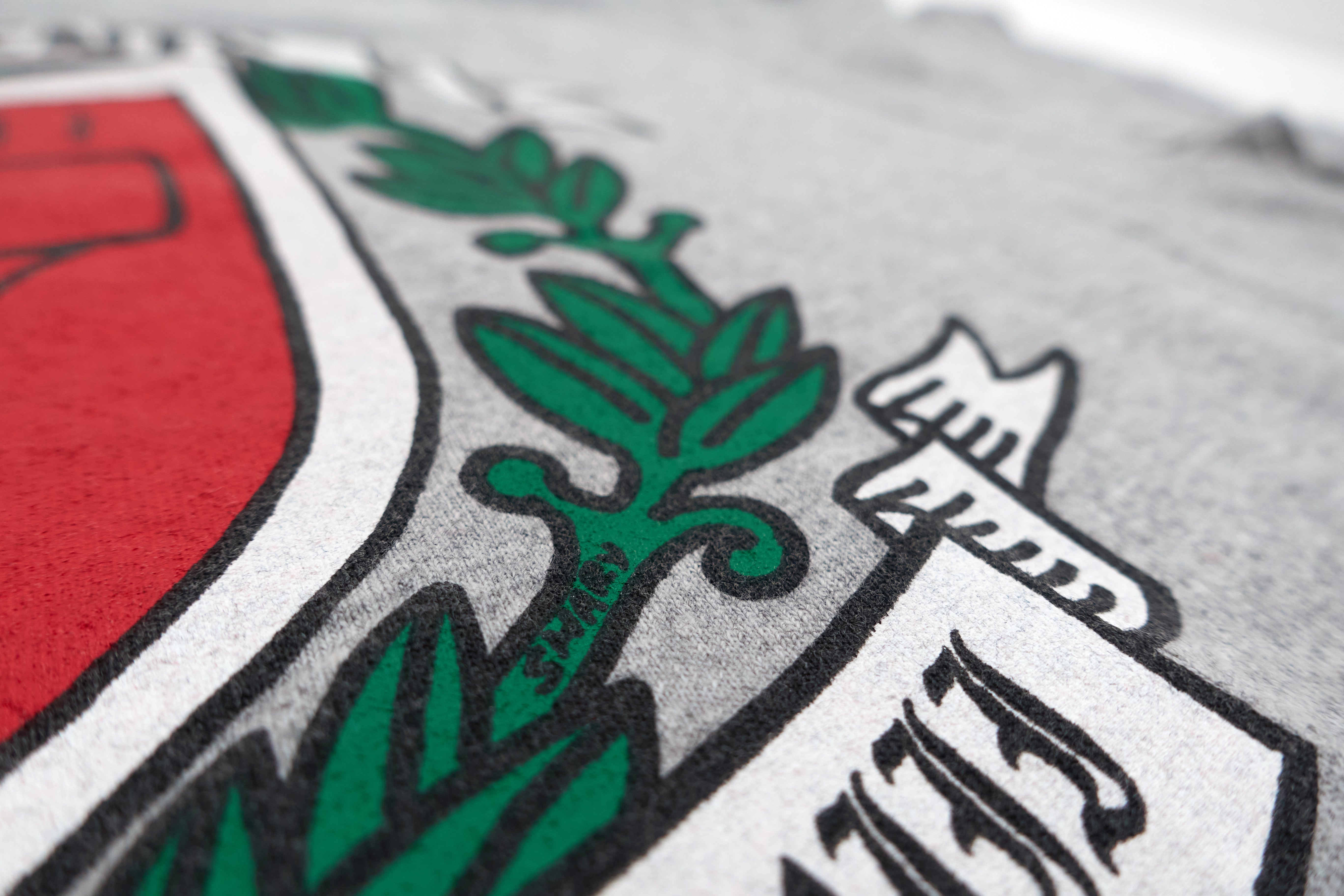 Descendents - Stadium Omnes Quia Varsity Crest Tour Shirt Size Medium