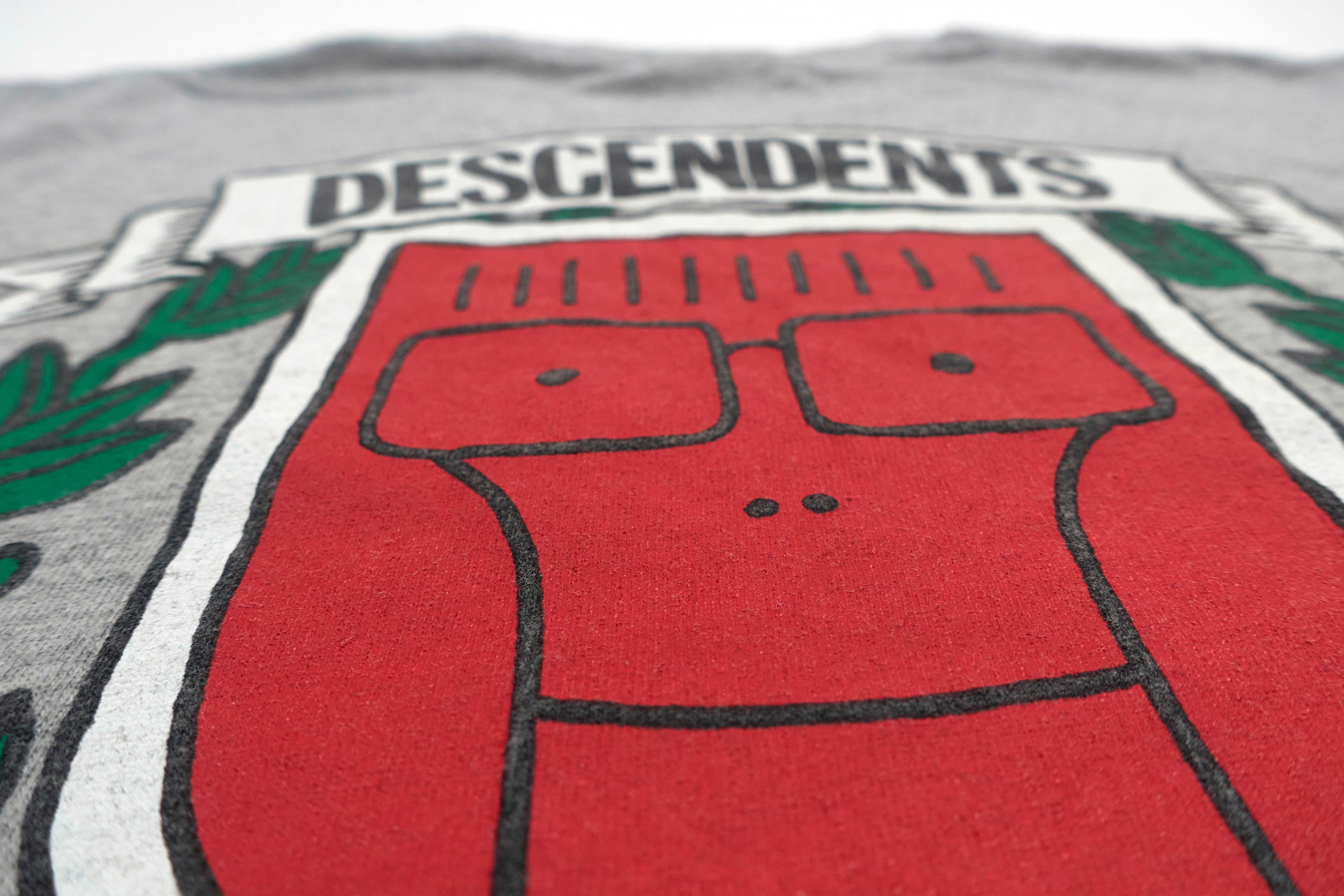 Descendents - Stadium Omnes Quia Varsity Crest Tour Shirt Size Small