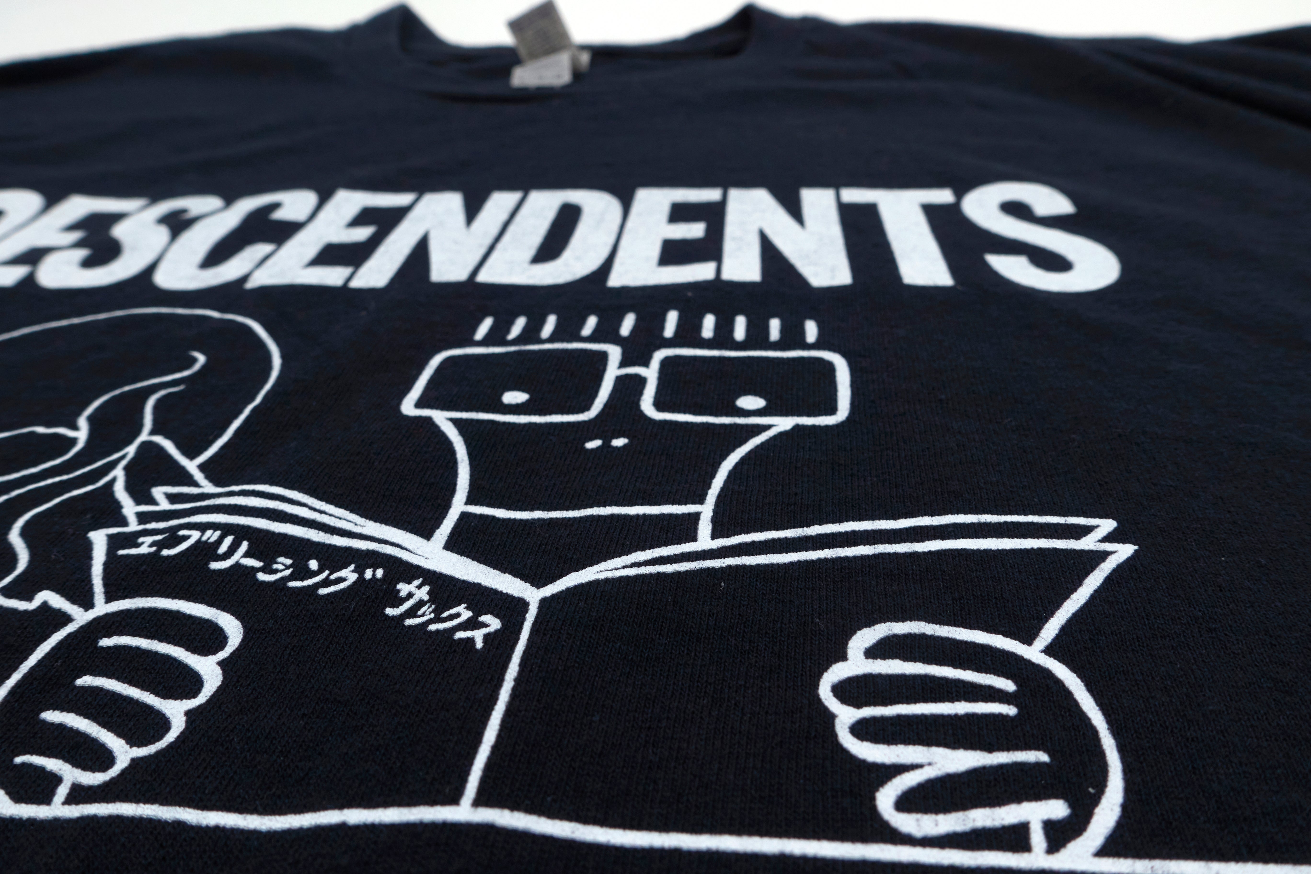 Descendents - エブリシング・サックス Coffee At Mt. Fuji Japan 2023 Tour Shirt Size XL