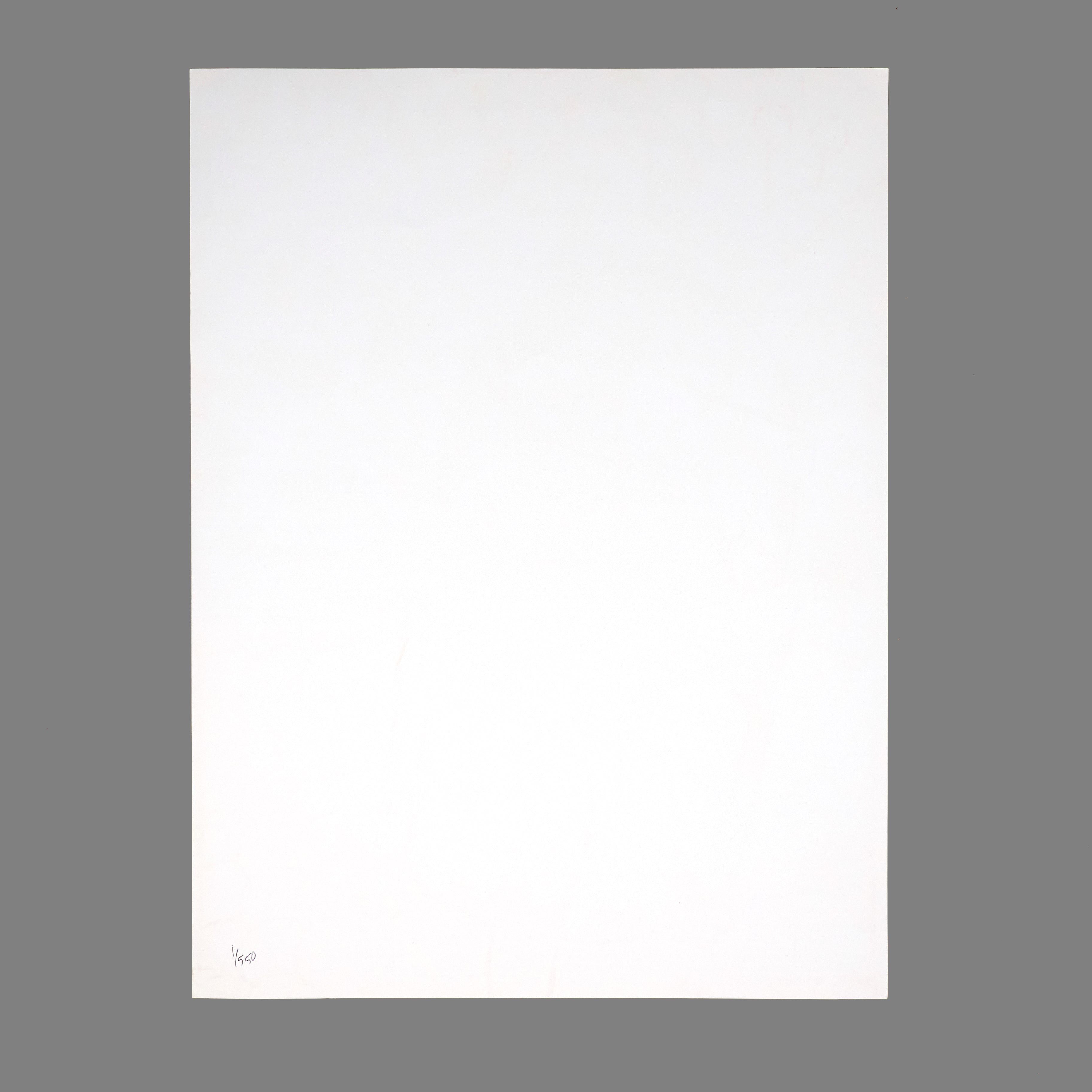 Hellogoodbye - 2007 MySpace Secret Show 18X24 Inch Silkscreened Poster Number 1 Of 550