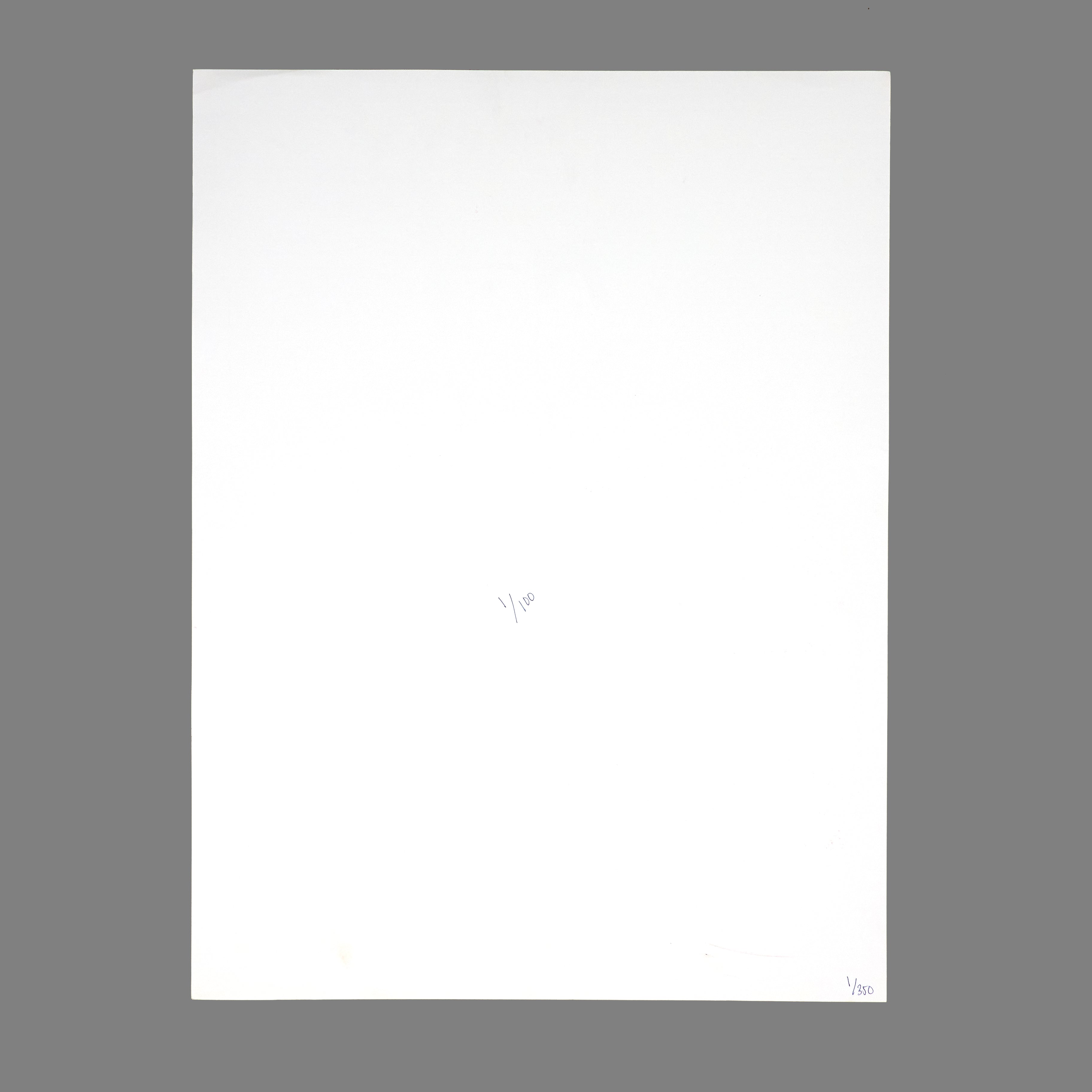 Ray LaMontagne - 2006 MySpace Secret Show 18X24 Inch Silkscreened Poster Number 1 Of 100