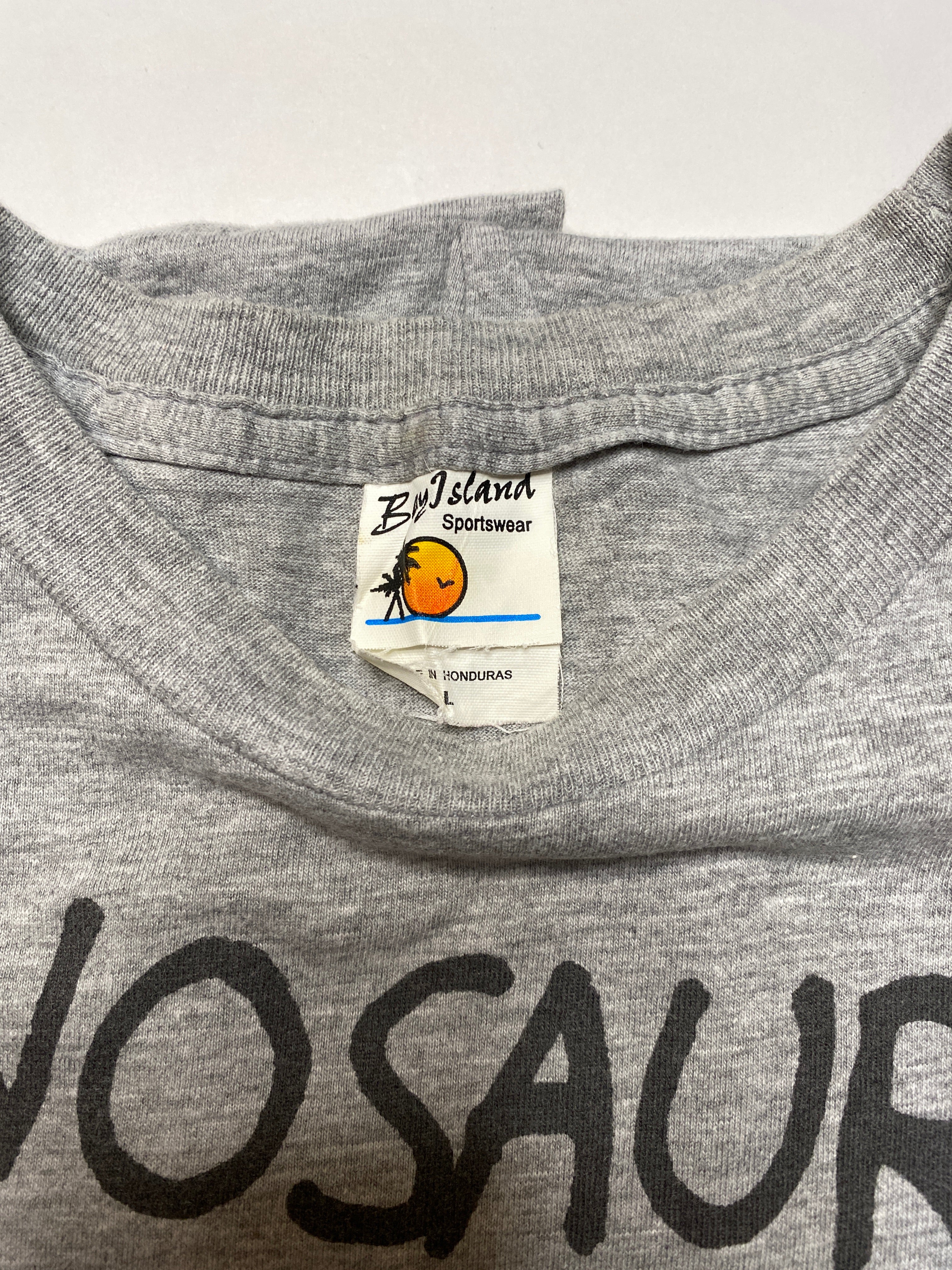 Dinosaur Jr. – Green Mind 2007 Tour Shirt Size Large / Medium