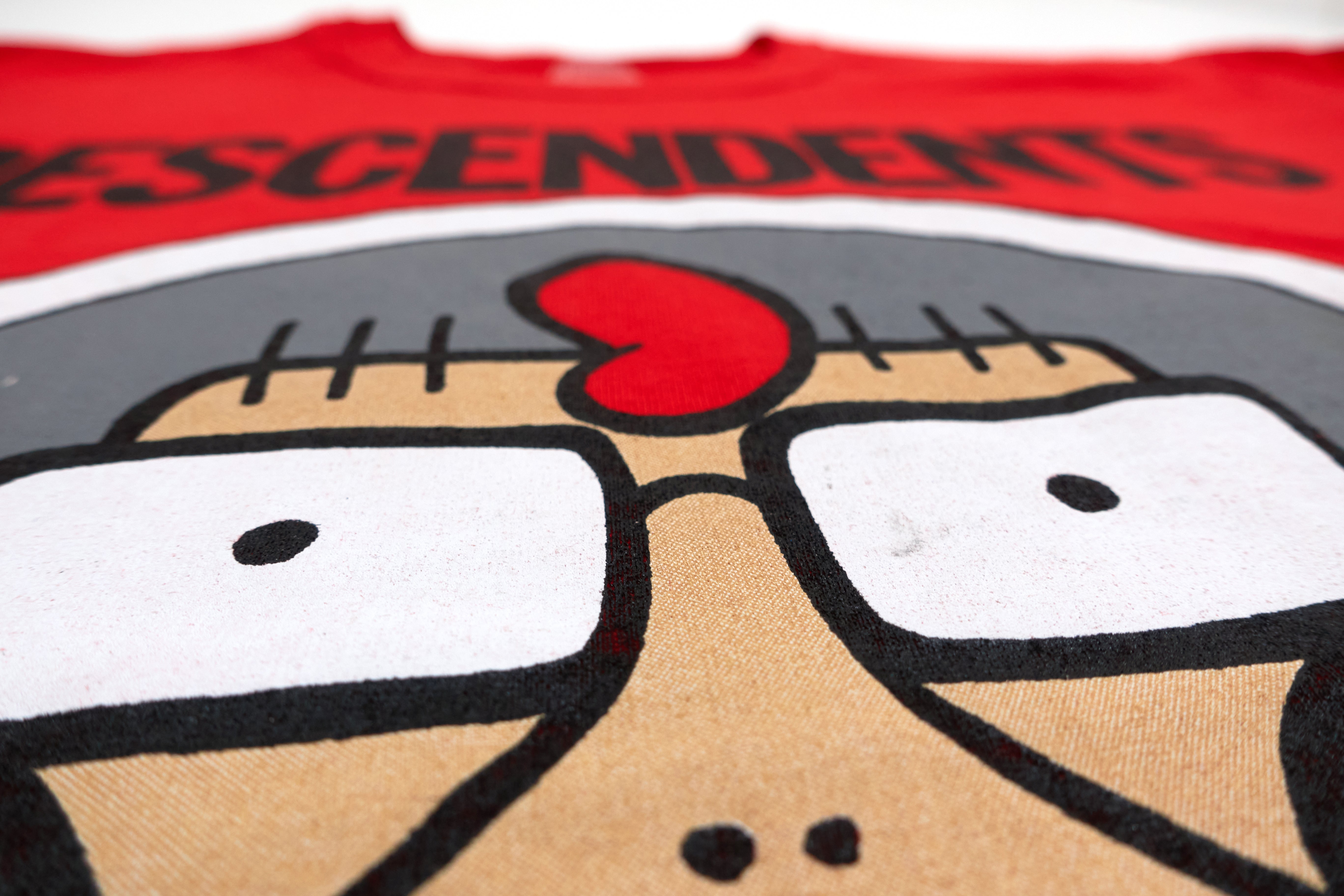 Descendents - Chilé 2016 Tour Shirt Size Large