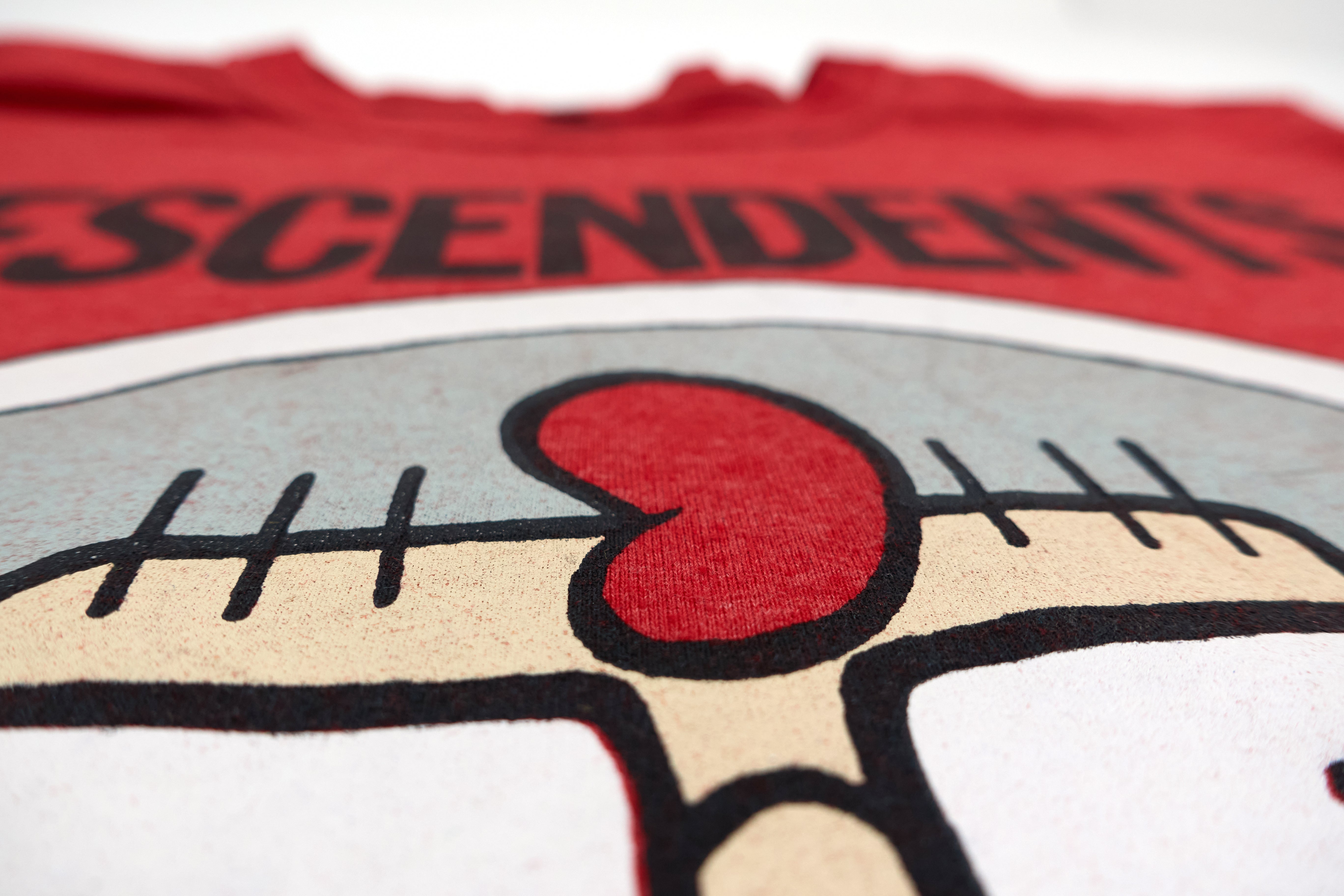 Descendents - Chile 2016 Tour Shirt Size Medium
