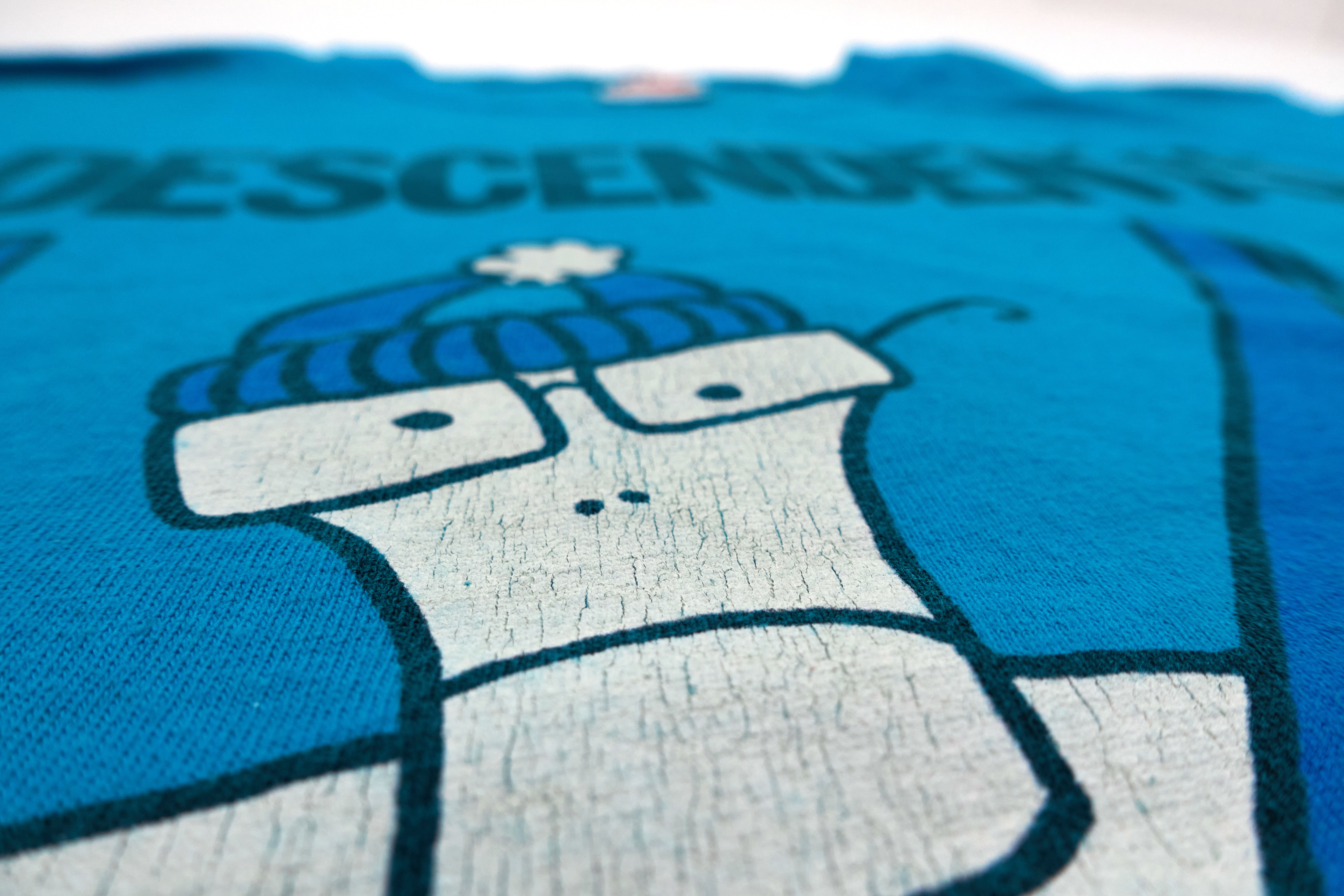 Descendents - Colorado 2012 Tour Shirt Size Medium