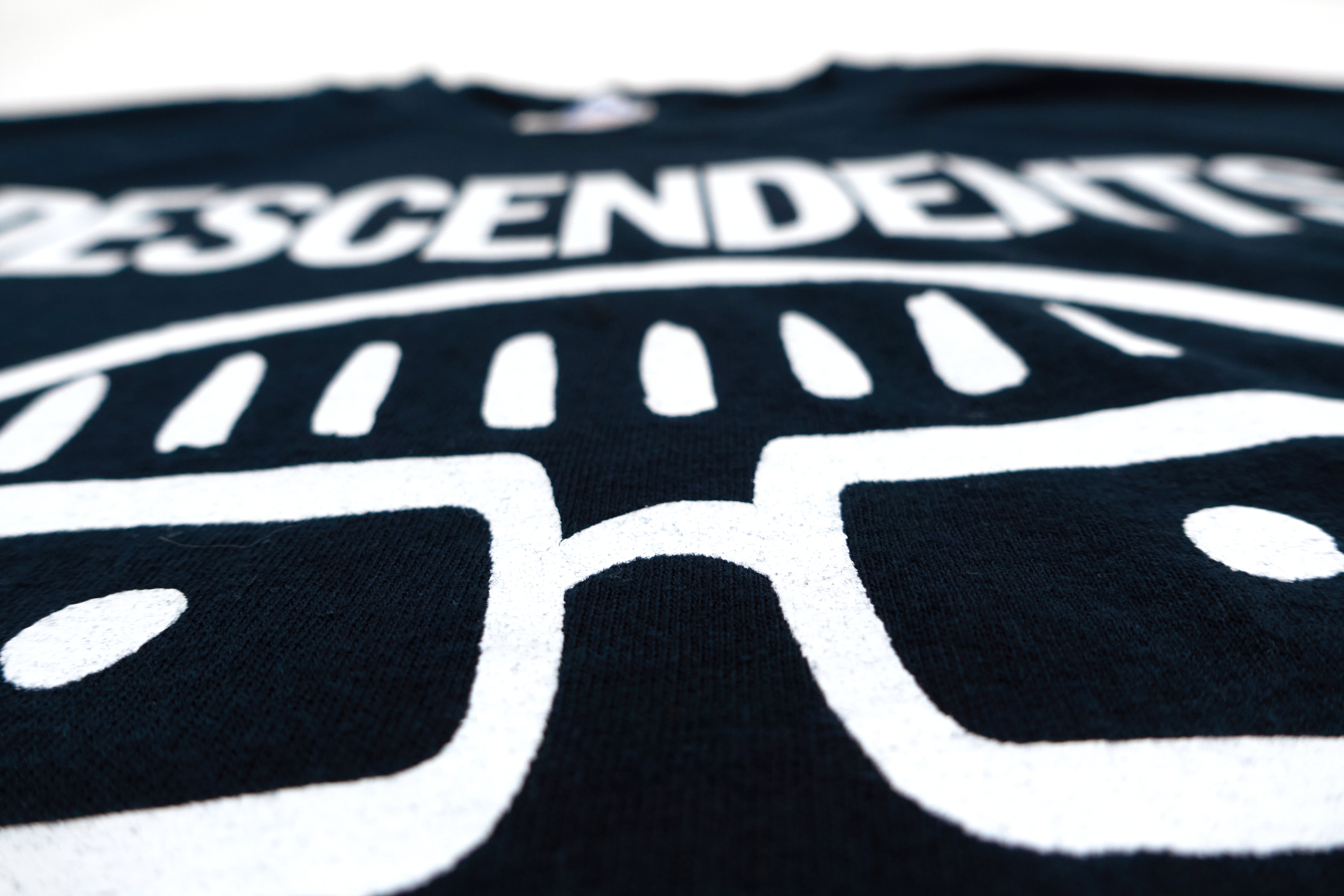 Descendents - Fun, Fun, Fun Fest 2010 Tour Shirt Size Medium