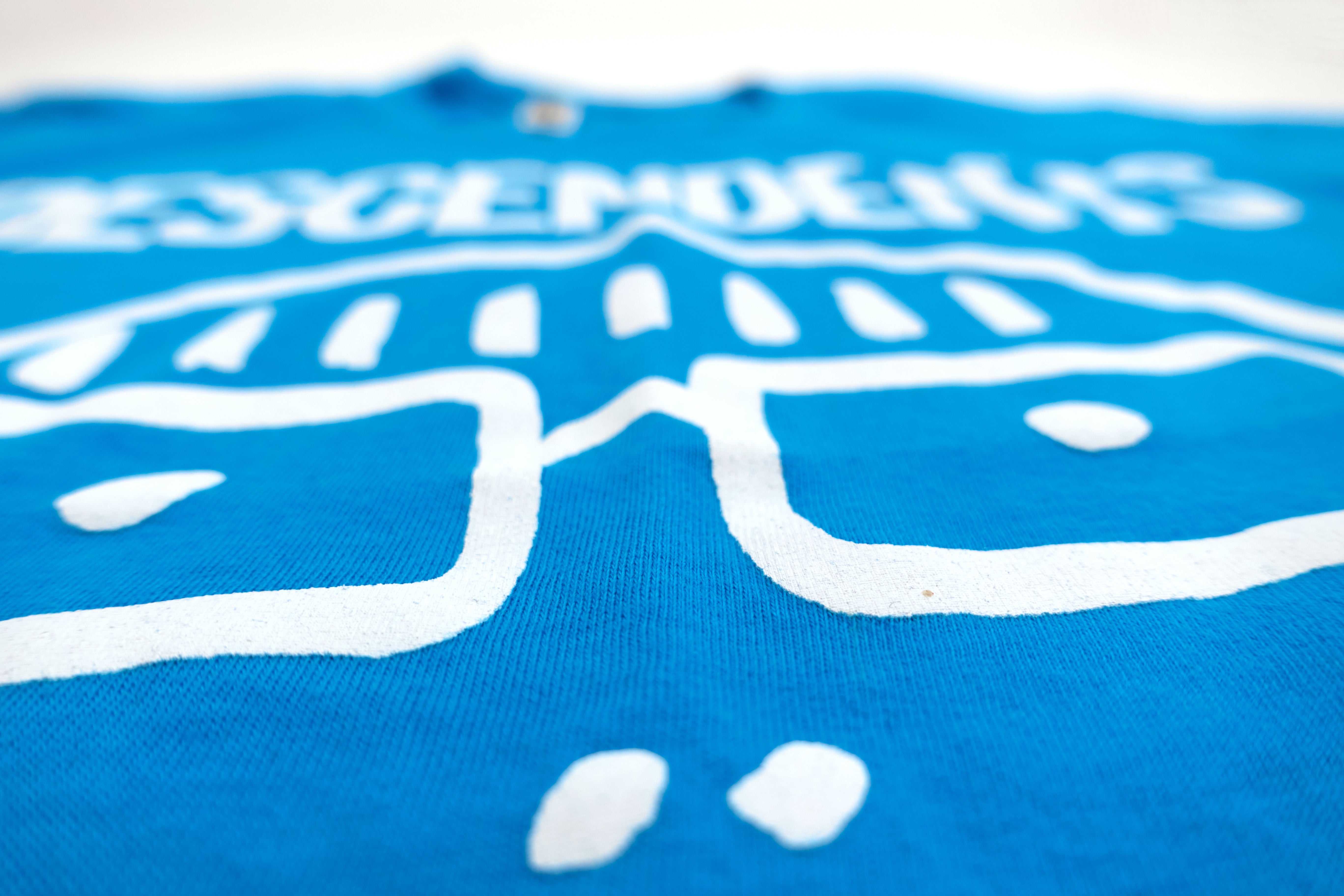 Descendents - Fun, Fun, Fun Fest 2010 Tour Shirt Size Women's Medium