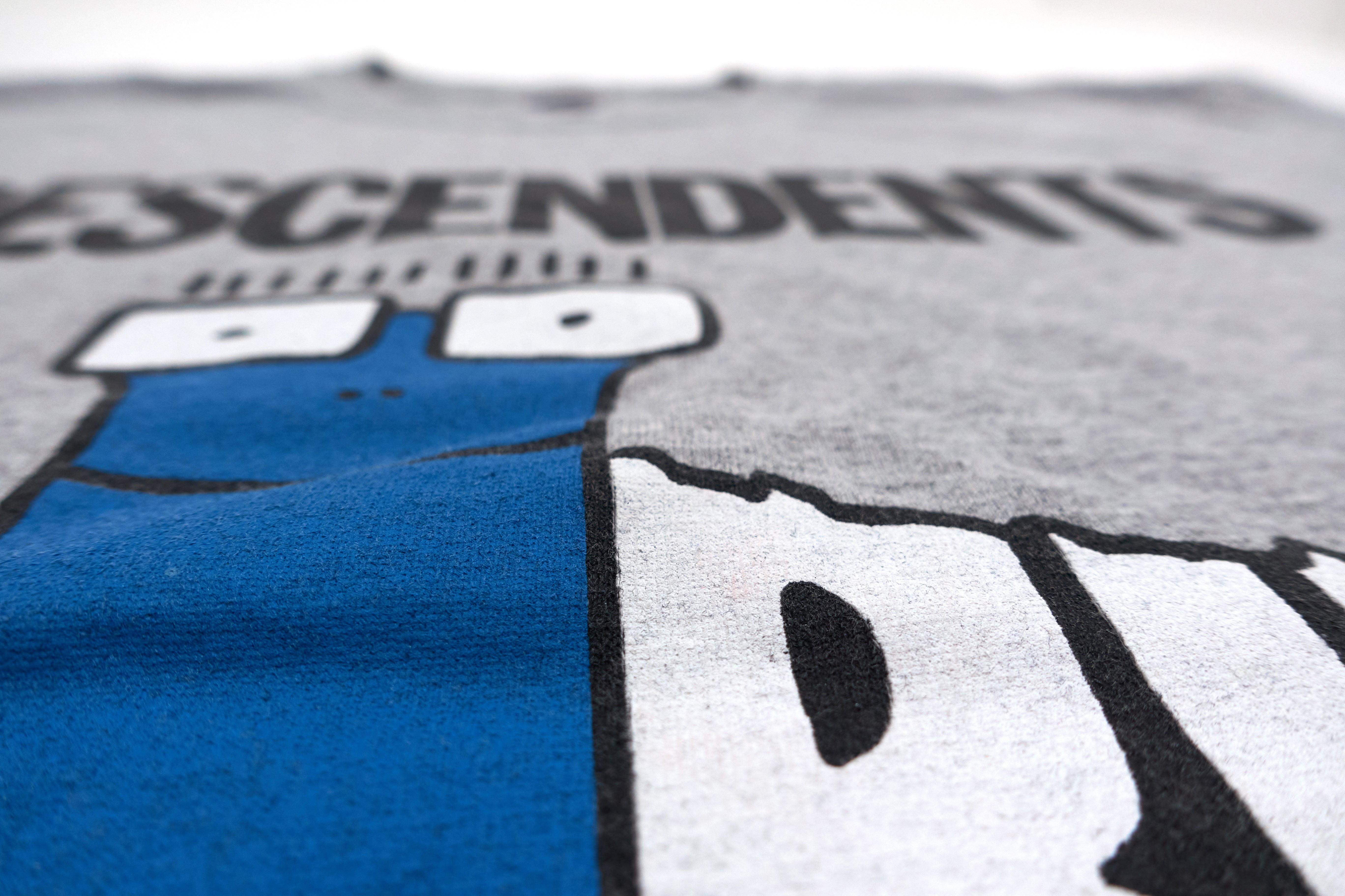 Descendents - Riot Fest Texas 2012 Tour Shirt Size Medium