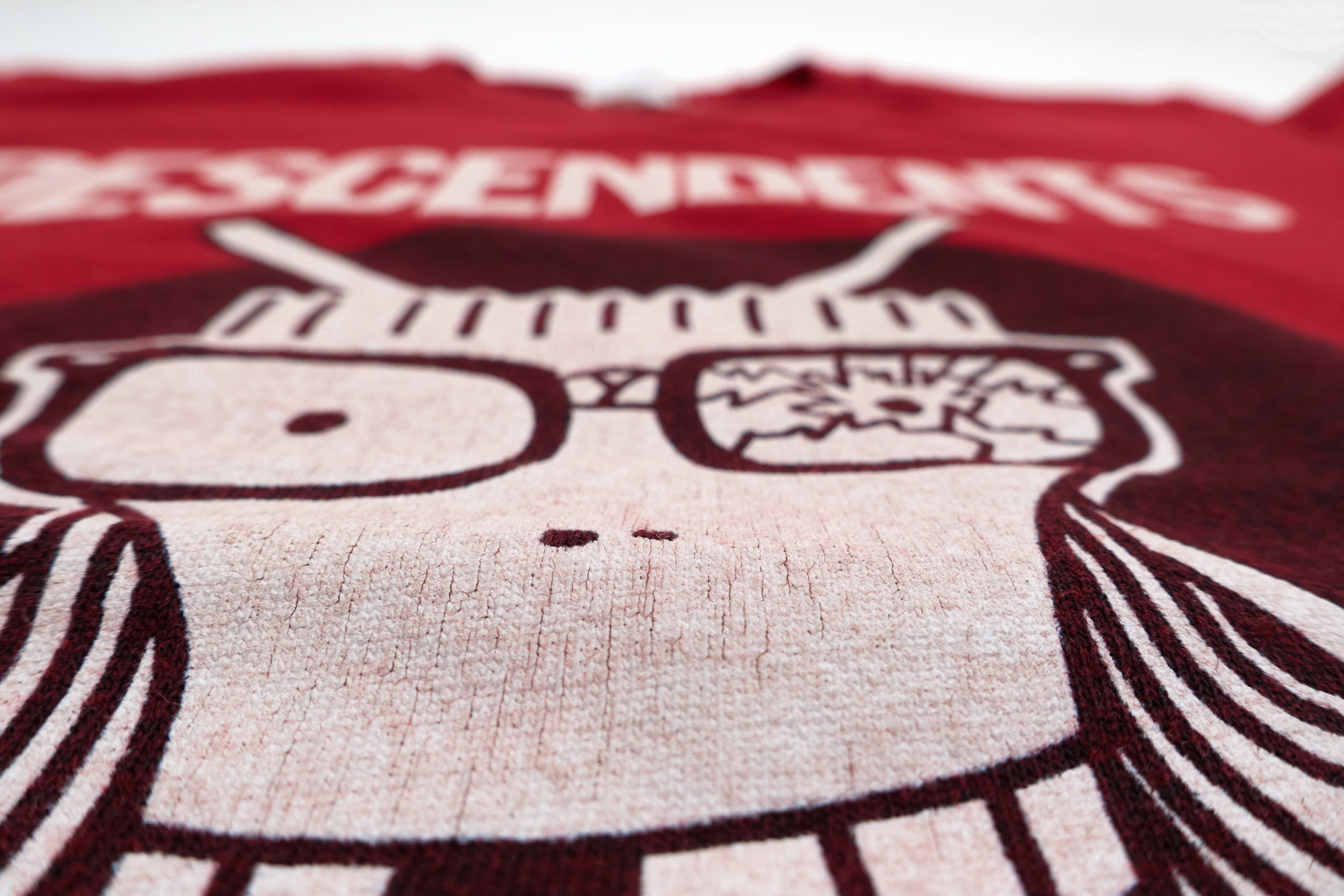 Descendents - Riot Fest Toronto 2012 Tour Shirt Size Youth Large