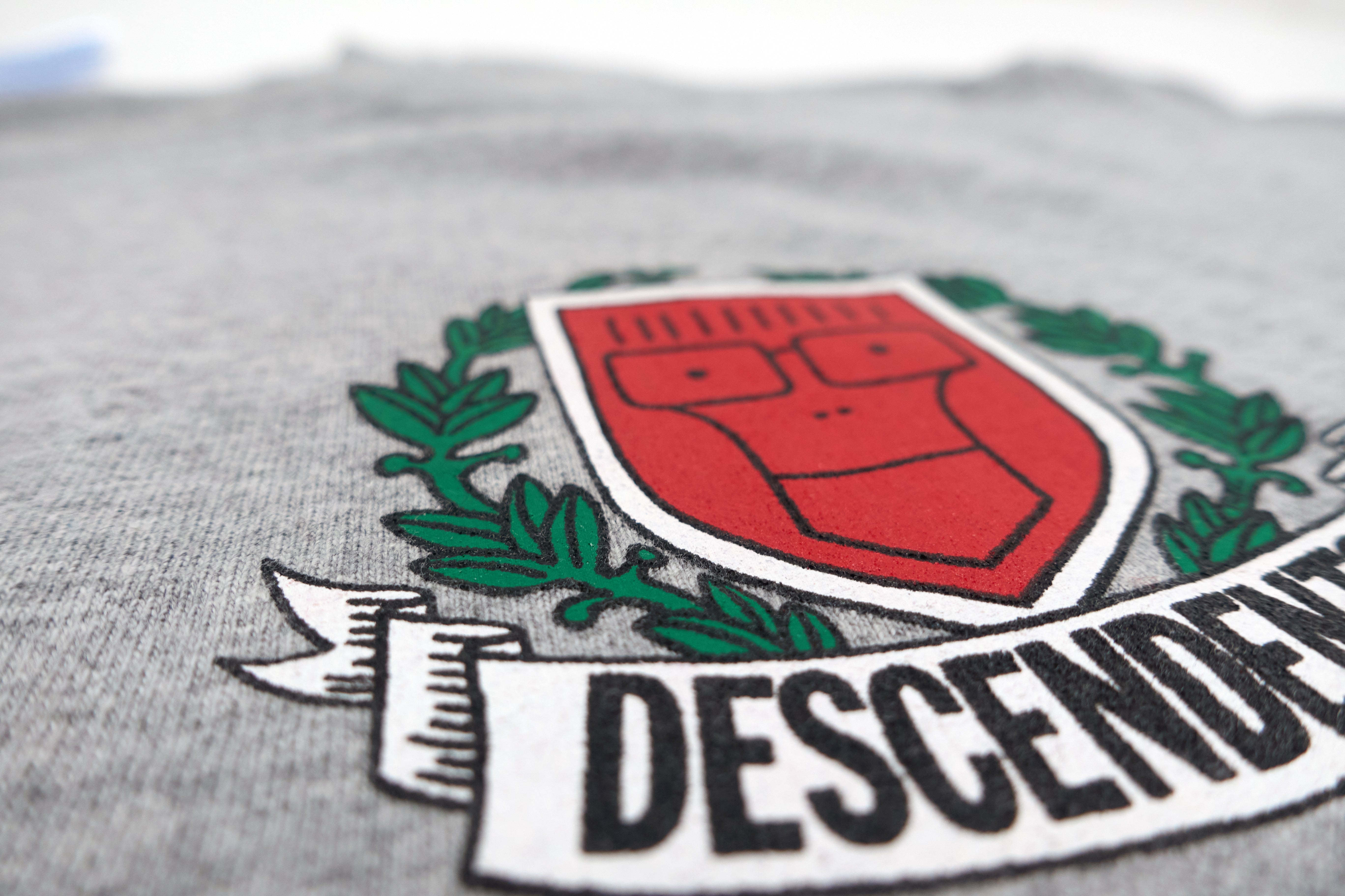 Descendents - Stadium Omnes Quia Varsity Crest Tour Shirt Size Medium