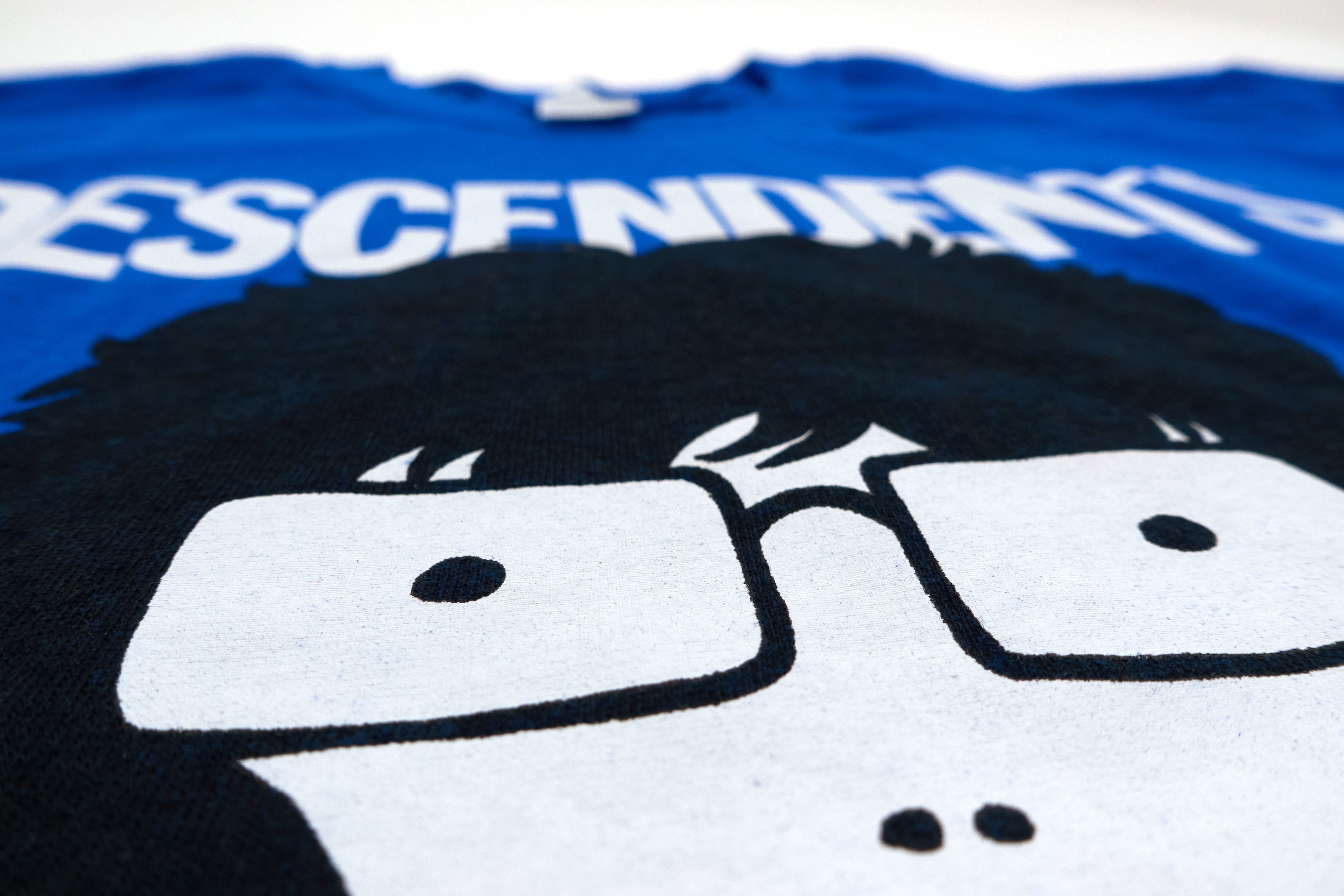 Descendents - Winnipeg 2019 Tour Shirt Size Medium