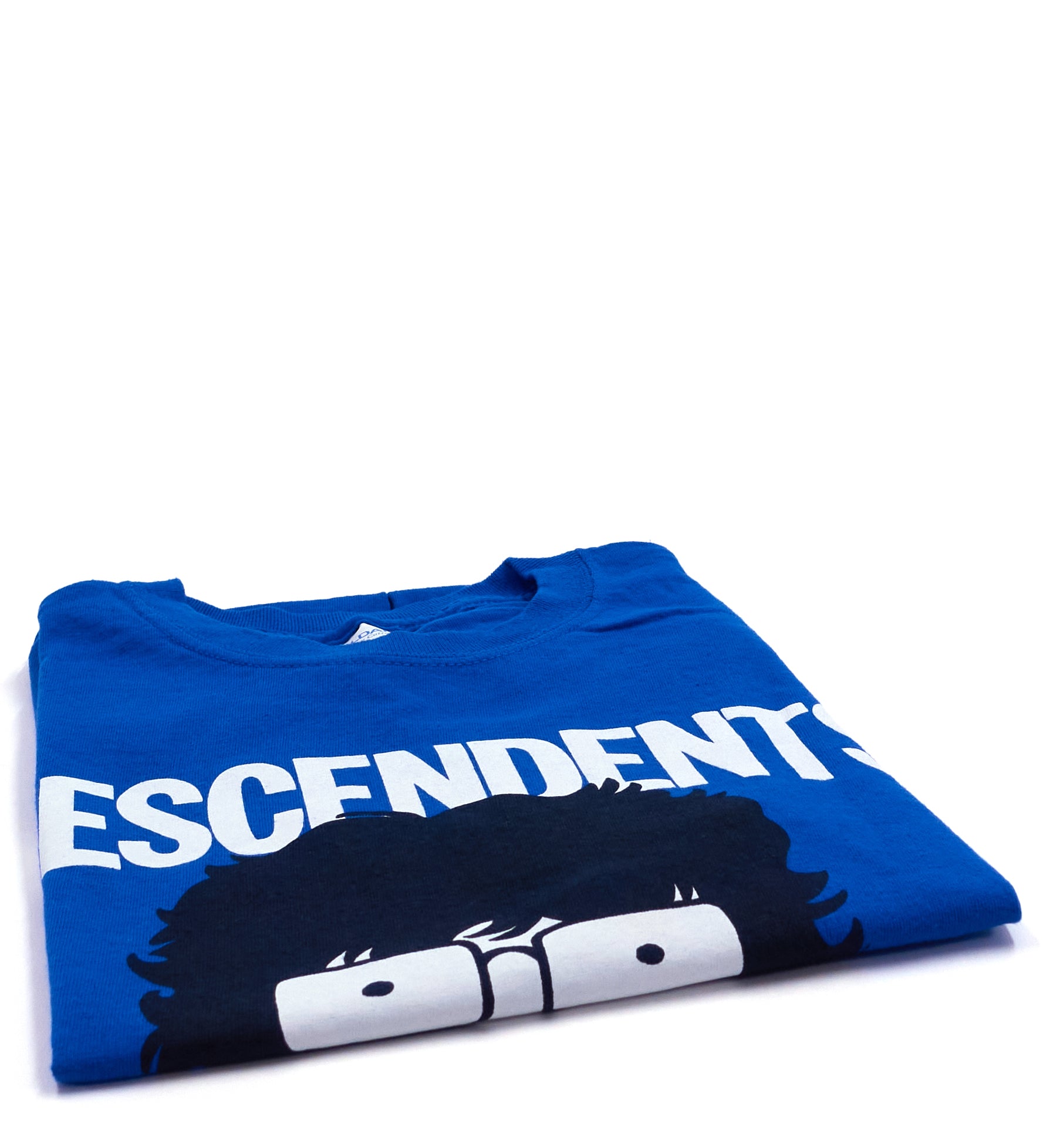 Descendents - Winnipeg 2019 Tour Shirt Size Medium
