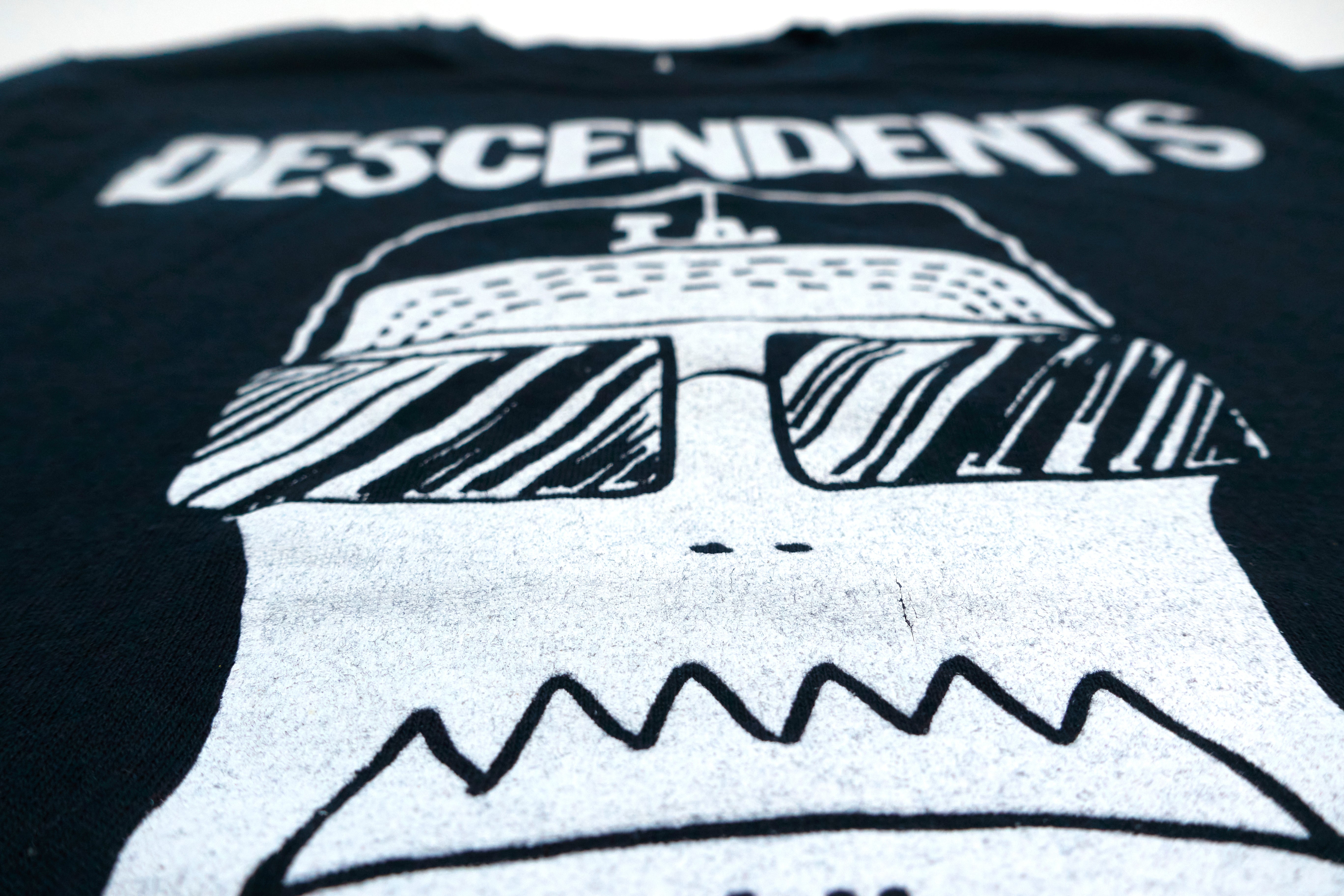 Descendents - Wookie (Fletcher from Pennywise) Turns 50 2016 Tour Shirt Size Small