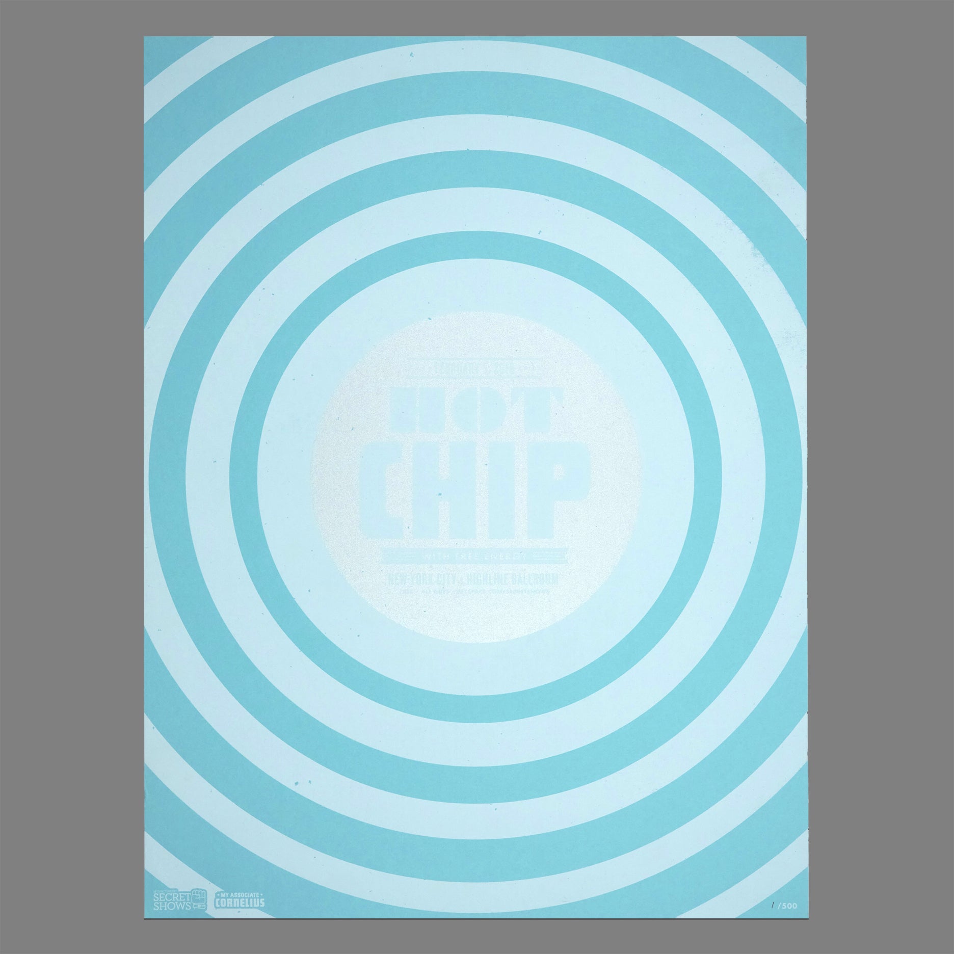Hot Chip / Free Energy - 2010 MySpace Secret Show 18X24 Inch Silkscreened Poster Number 1 Of 500