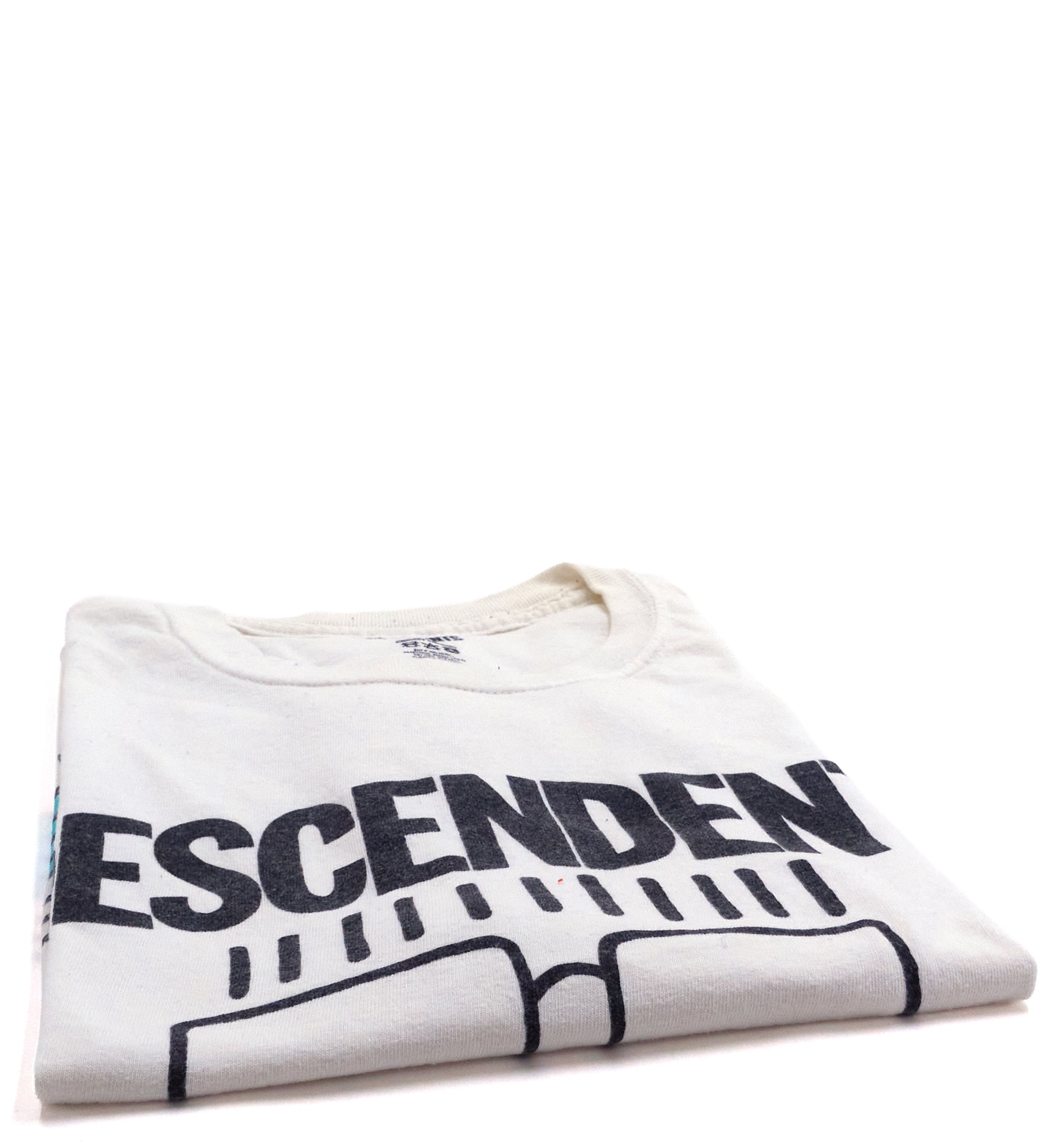 Descendents - Everything Sucks (Covid Edition) Shirt Size Large