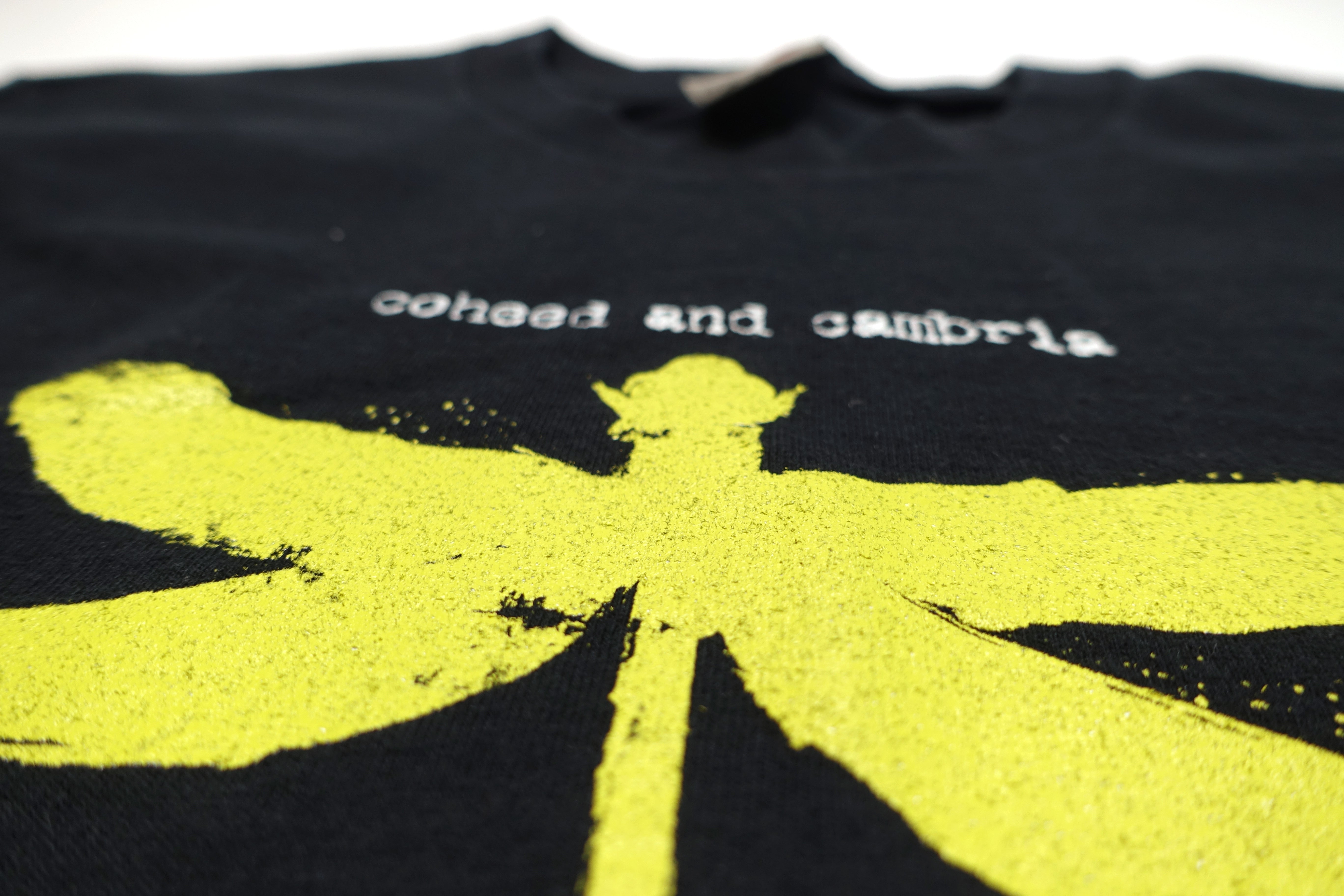 Coheed & Cambria – Dragonfly 2000's Tour Shirt Size Medium