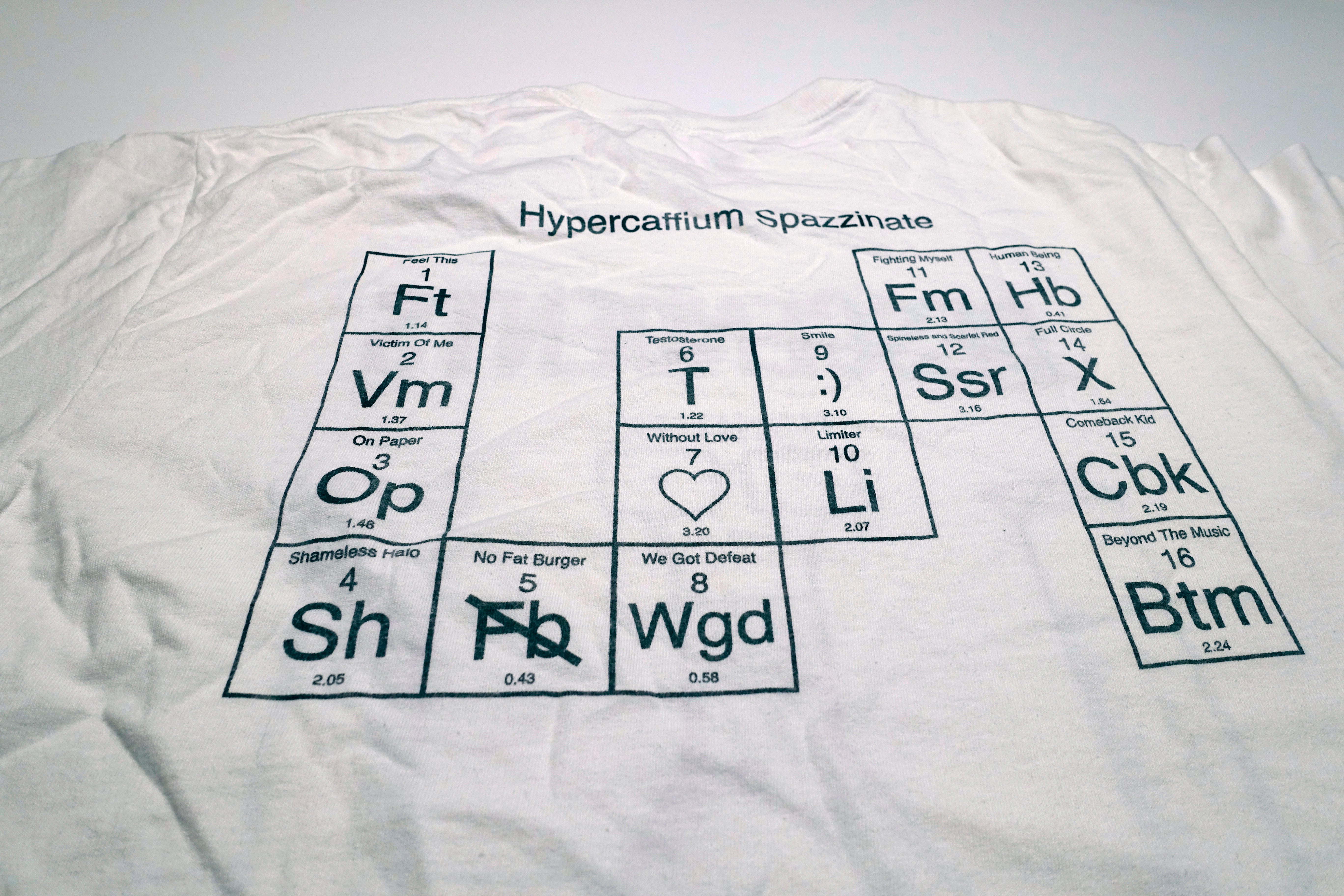 Descendents - Hypercaffium Spazzinate 2016 Tour Shirt Size Large