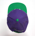 Dinosaur Jr.  ‎–  MISHKA X Dinosaur Jr Gorilla & Cow 2013 Collab Snapback Hat