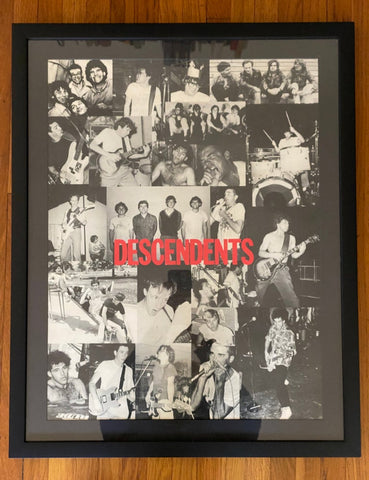 Descendents Framed Poster Approx 18" X 22". Very Nice